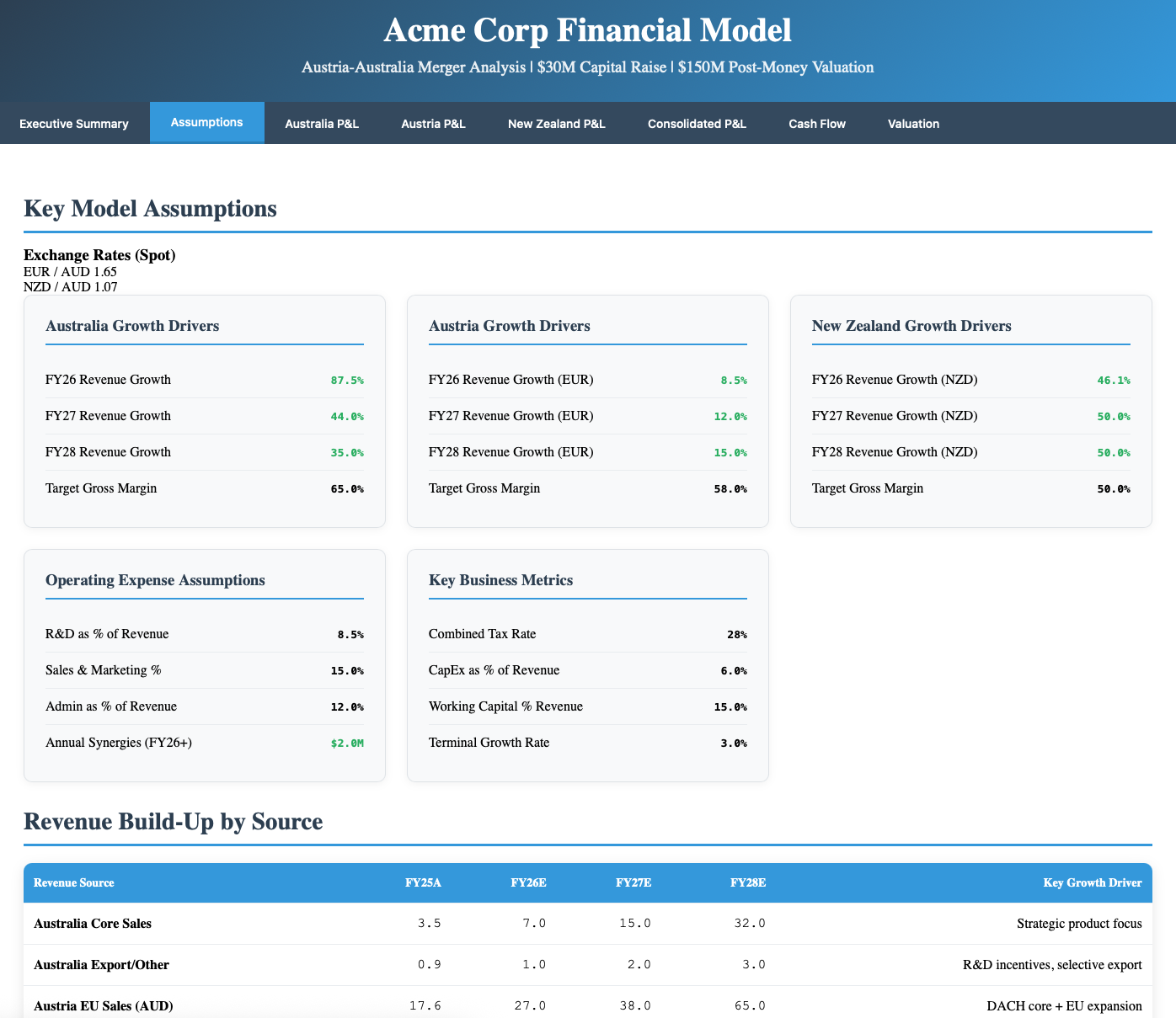 Capital Raise Model 4