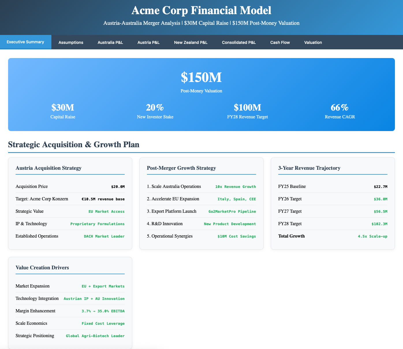 Capital Raise Model 5